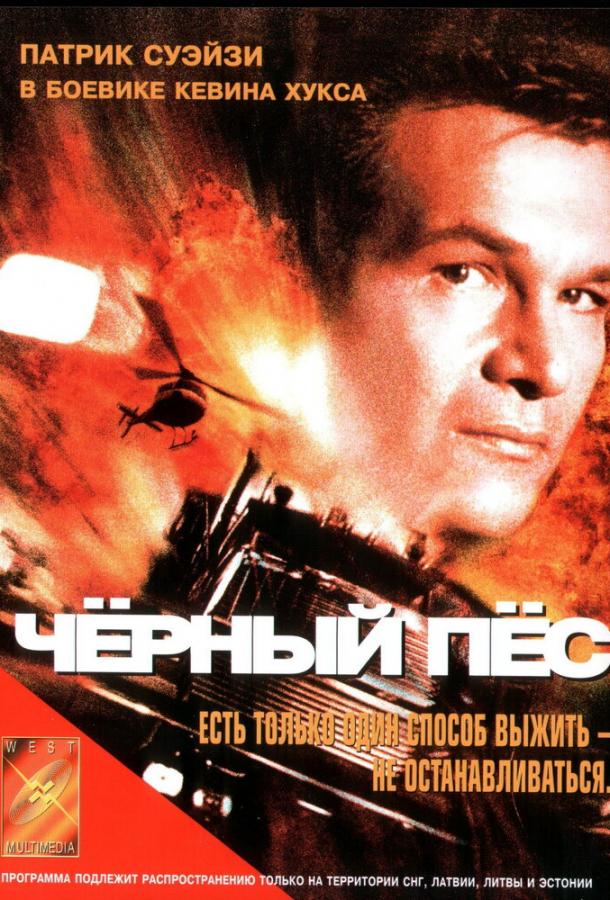 Фильм Черный пес (1998) смотреть онлайн в хорошем качестве